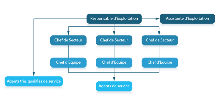 organigramme